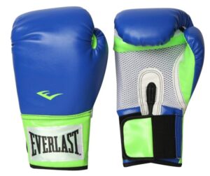 Everlast Pro Style Boxing Training Gloves