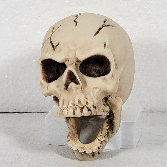 Miniature Human Skull Decor Collectible Cattle Bone 3 Inches