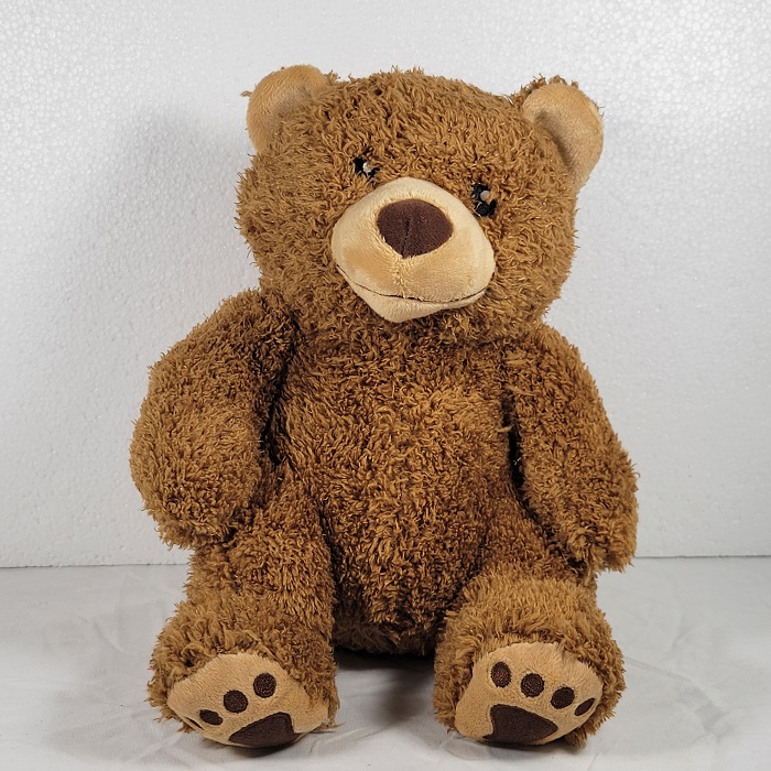 Kohls Cares Little Critters Brown Bear Plush Mercer Mayer 10” Inches