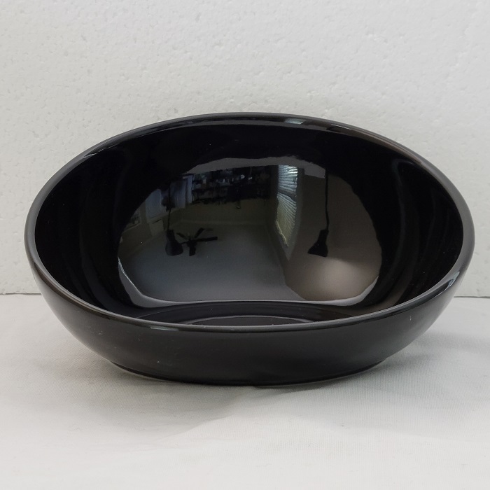 CaiHE Slanted Pet Bowl Black 6.5 Inches